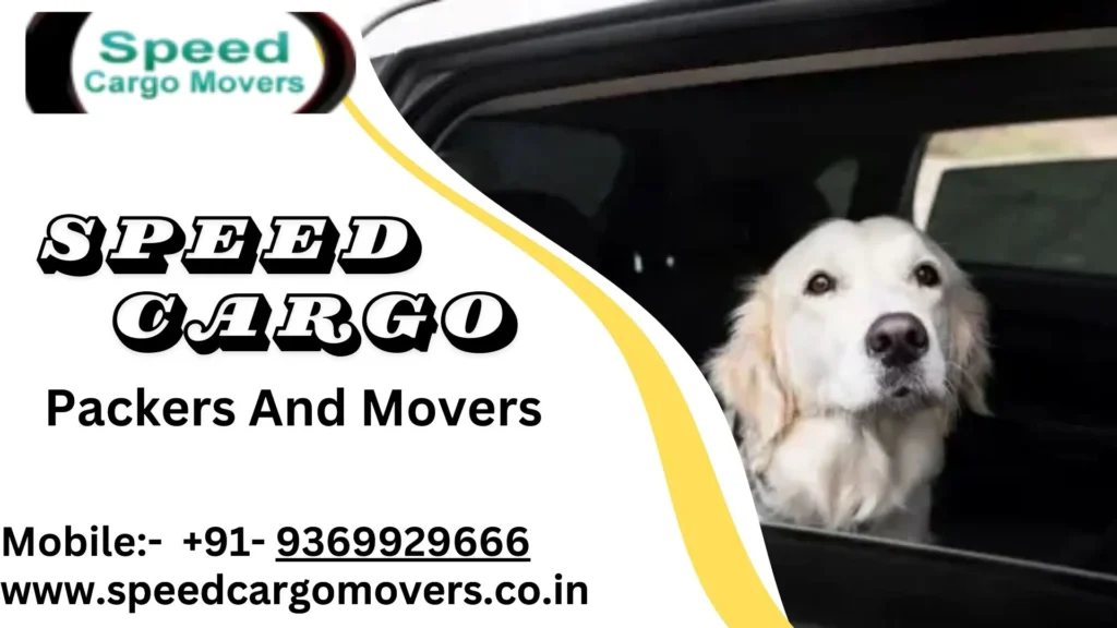 Pet Transport in Etawah