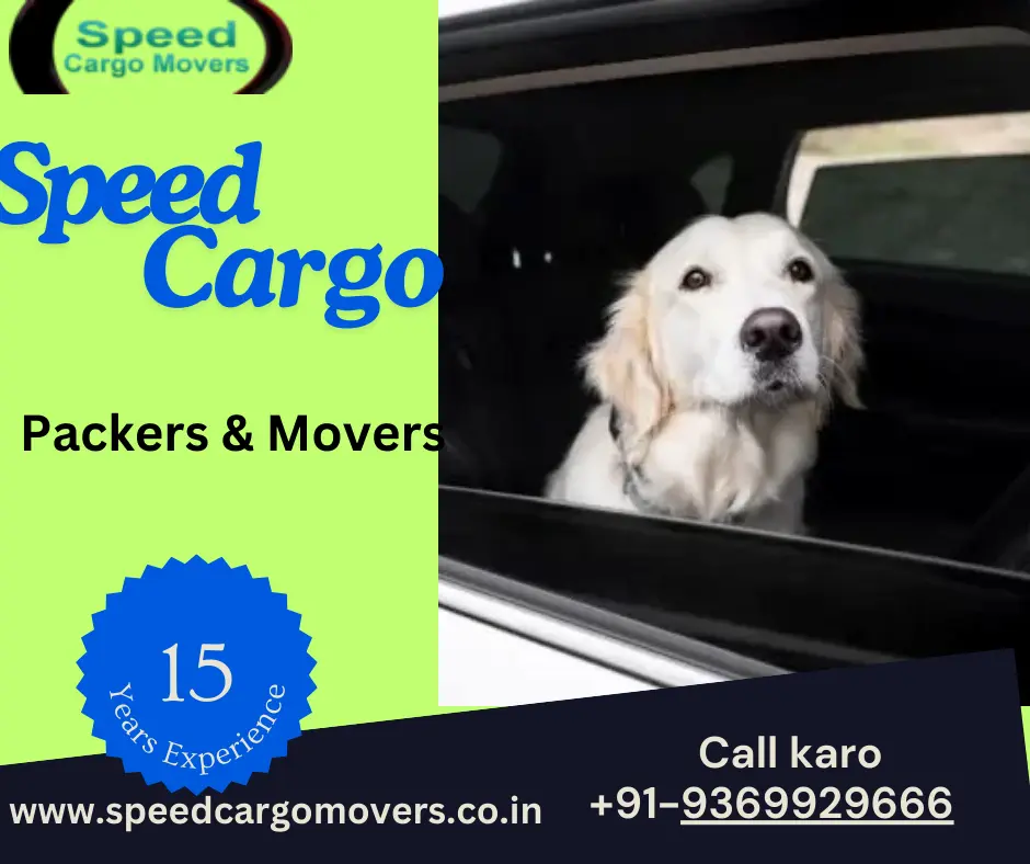 Pet Transport in Silchar